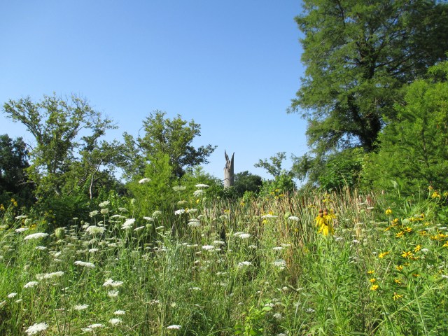 forest park, 7/12/2015