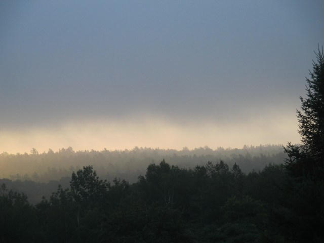 Surry, Maine. View from cabin, morning